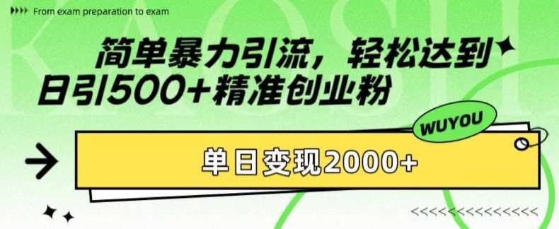 简单暴力引流轻松达到日引500+精准创业粉，单日变现2k【揭秘】-齐力副业
