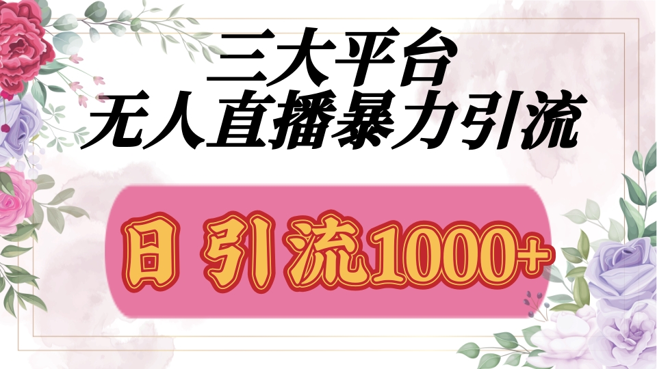 抖音，快手，视频号全平台通用，无人直播引流法，利用图片,模板,整套话术挂机全天支持矩阵操作，无限设备多开，超暴力引流，1000+高质量精准创业粉-齐力副业
