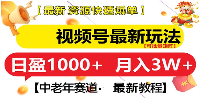 视频号独家玩法，老年养生赛道，无脑搬运爆款视频，日入1000+-齐力副业
