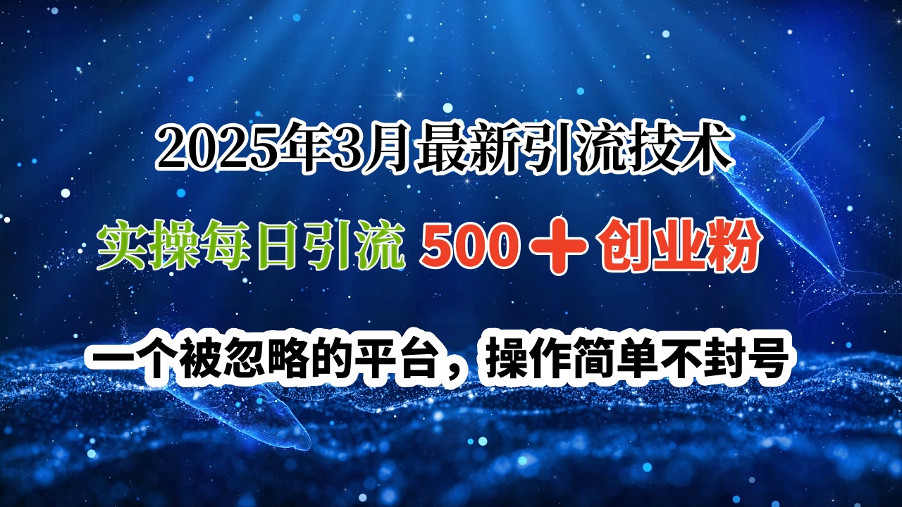 2025年3月最新引流技术，实操每日引流500➕创业粉，一个被忽略的平台，操作简单不封号-齐力副业