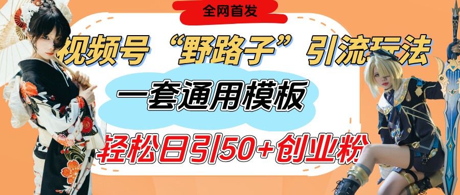 视频号“野路子”玩法，评论区疯狂截流，一套模板单日单号引流50+创业粉-齐力副业