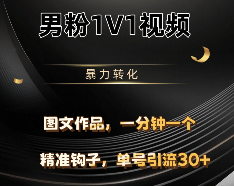 男粉1V1视频，硬改摄像头，高客单暴力转化，单日600+-齐力副业