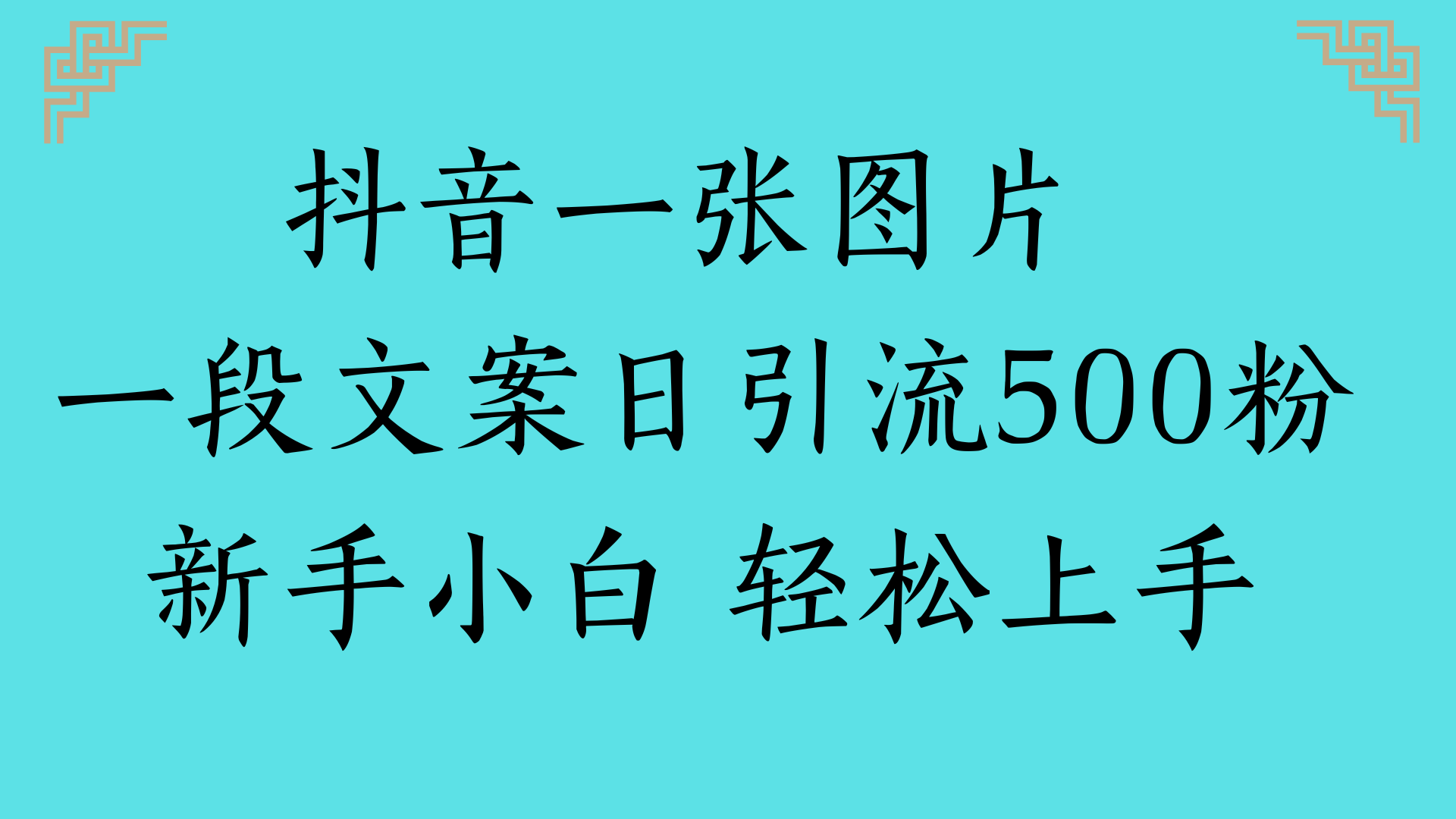抖音一张图片 一段文案日引流500粉新手小白 轻松上手-齐力副业