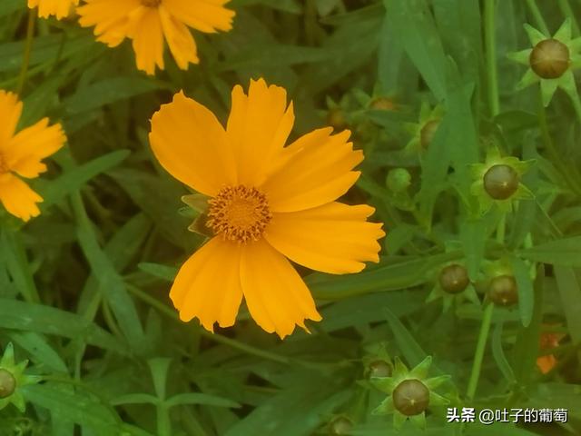 副业怎样选择，不影响工作还能有额外的收入-齐力副业