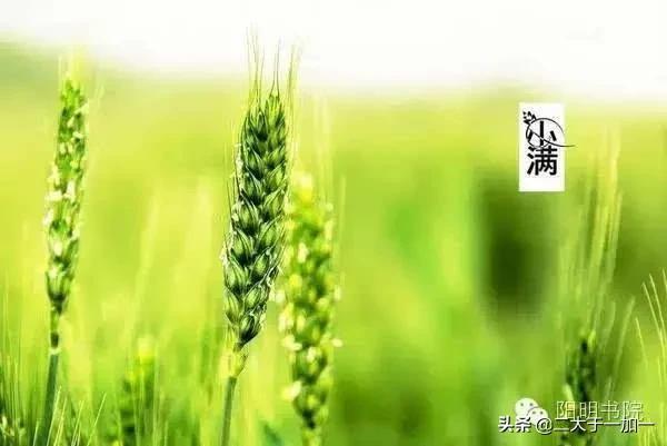 现代农民增加收入的出路——仍然是搞副业-齐力副业