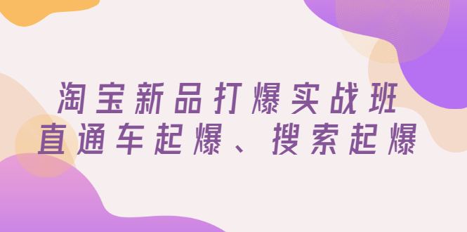 【副业项目3372期】淘宝新品打爆实战班（淘宝店铺如何增加流量和访客）-齐力副业