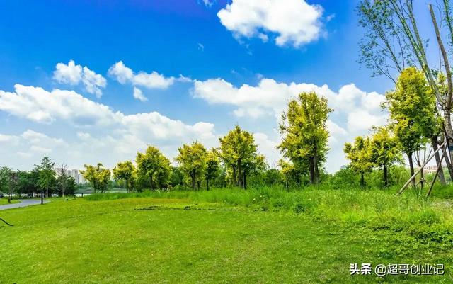 自媒体公司老板分享做自媒体的秘籍（做自媒体怎么月收入过万）-齐力副业