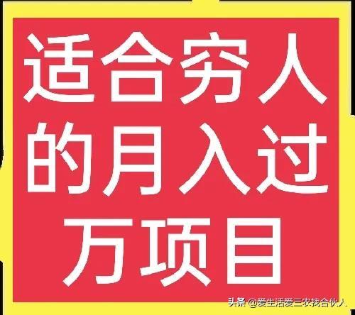 适合农村人做的赚钱项目（在农村做什么项目好）-齐力副业