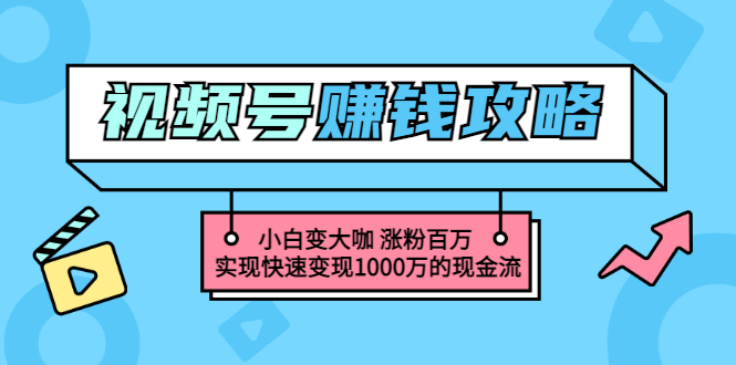 【副业项目3549期】怎么通过视频号赚钱（视频号赚钱详细教程攻略）-齐力副业