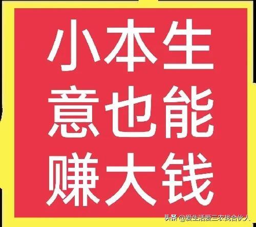 2022年投资小利润高的小生意，失业后做什么小本生意好-齐力副业