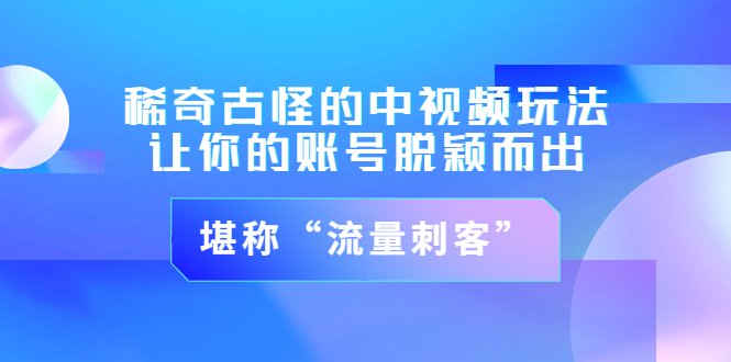 【副业项目3652期】稀奇古怪的中视频玩法，让你的账号脱颖而出，堪称“流量刺客”（图文+视频)-齐力副业