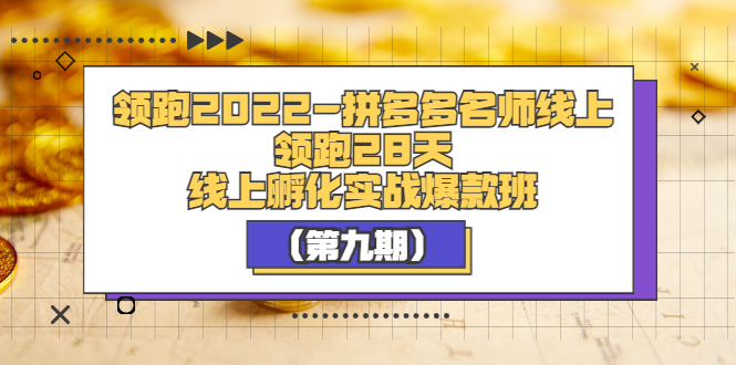 【副业项目3821期】拼多多名师线上领跑28天，拼多多线上孵化实操爆款班（第九期）-齐力副业