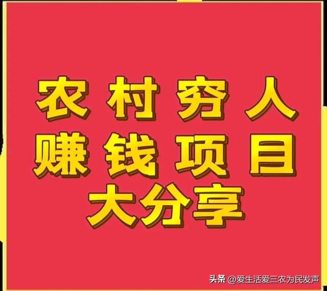 穷人怎么赚钱最快（适合农村穷人创业的项目）-齐力副业