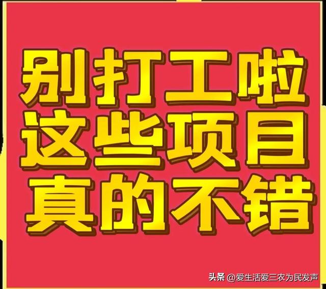 比打工强的小生意，农村小项目有哪些-齐力副业