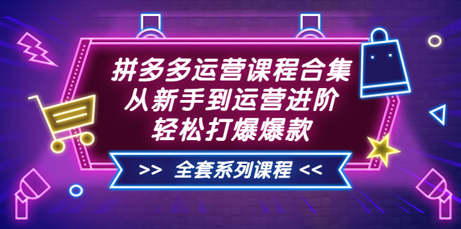 【副业项目3861期】拼多多运营课程合集：从新手到运营进阶，拼多多新手开店教程视频-齐力副业