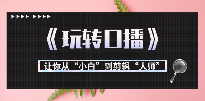 【副业项目3987期】月营业额700万+大佬教您《玩转口播》让你从“小白”到剪辑“大师”-齐力副业