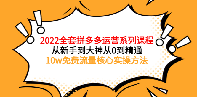 【副业项目4045期】2022全套拼多多运营课程：新手怎么做拼多多电商，10w免费流量核心实操方法-齐力副业