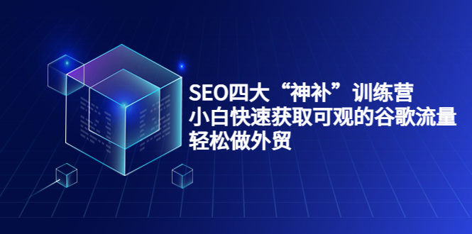【副业项目4063期】最新seo网站优化教程，小白快速获取可观的谷歌流量，轻松做外贸-齐力副业