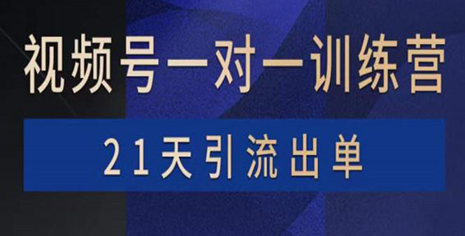 【副业项目4068期】视频号训练营：带货，涨粉，直播，游戏，四大变现新方向，21天引流出单-齐力副业