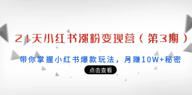【副业项目4158期】21天小红书涨粉变现营（第3期）：带你掌握小红书爆款玩法，月赚10W+秘密-齐力副业
