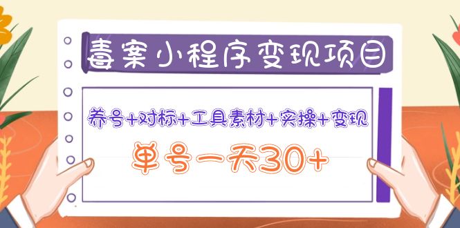 【副业项目4214期】图文案小程序变现项目：养号+对标+工具素材+实操+变现，单号一天30+-齐力副业