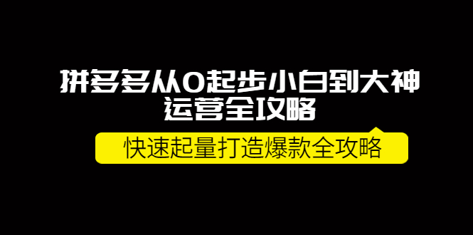 【副业项目4227期】拼多多从0起步小白到大神运营全攻略，快速起量打造10W+爆款全攻略-齐力副业
