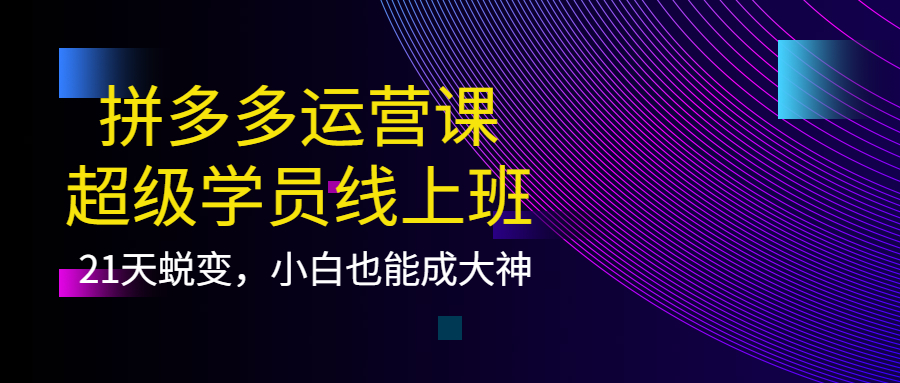 【副业项目4260期】拼多多运营课：超级学员线上班，21天蜕变，小白也能成大神-齐力副业