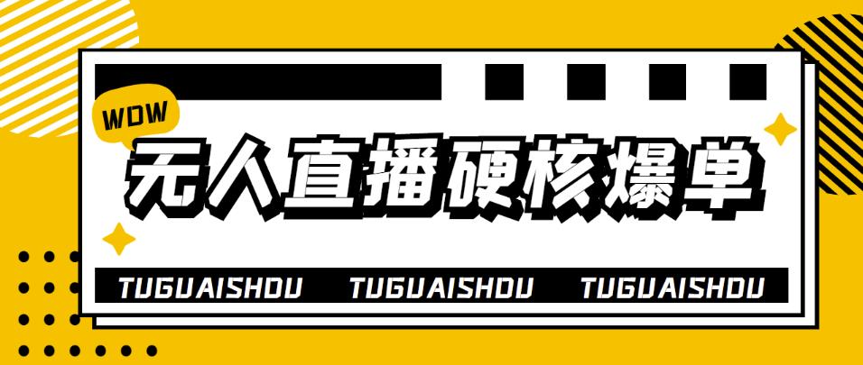 【副业项目4299期】大飞无人直播硬核爆单技术，轻松玩转无人直播，暴利躺赚-齐力副业