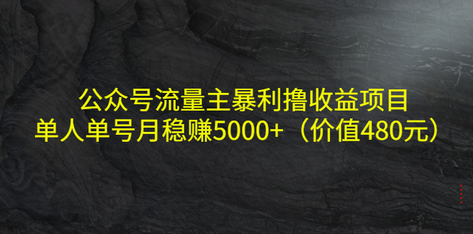 【副业项目4325期】公众号流量主暴利撸收益项目，单人单号月稳赚5000+（价值480元-齐力副业