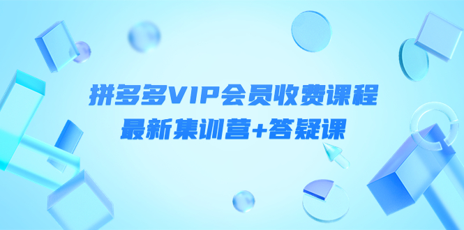 【副业项目4426期】某社群·拼多多VIP会员收费课程，最新集训营+答疑课-价值3299元-齐力副业