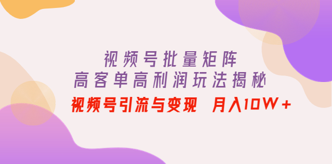 【副业项目4488期】视频号批量矩阵的高客单高利润玩法揭秘： 视频号引流与变现 月入10W+-齐力副业