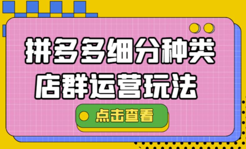 【副业项目4641期】拼多多细分种类店群运营玩法3.0，11月最新玩法，小白也可以操作-齐力副业