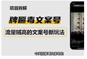 【副业项目4912期】2023抖音快手毒文案新玩法，牌匾文案号，起号快易变现-齐力副业