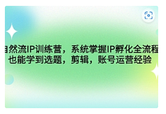 【副业项目4920期】自然流IP训练营，系统掌握IP孵化全流程，也能学到选题，剪辑，账号运营经验-齐力副业