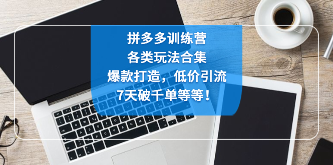 【副业项目4925期】拼多多训练营：各玩法合集，爆款打造，低价引流，7天破千单等等-齐力副业