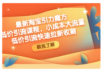 【副业项目4943期】最新淘宝引力魔方低价引流实操：小成本大流量，低价引流快速拉新收割-齐力副业