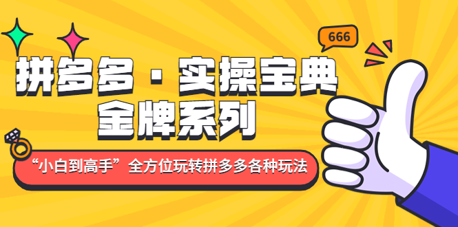 【副业项目5130期】拼多多·实操宝典：金牌系列“小白到高手”带你全方位玩转拼多多各种玩法-齐力副业