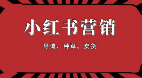 【副业项目1917期】手把手教做小红书帐号，一篇笔记涨粉10000，月入十万的博主秘笈-齐力副业