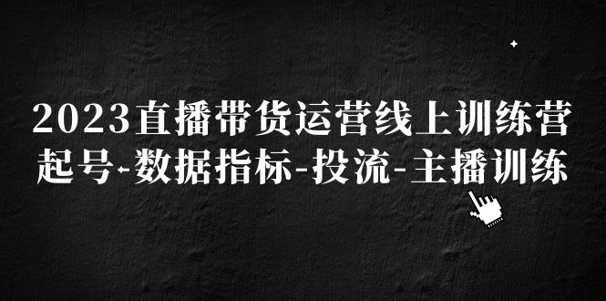 【副业项目5282期】2023直播带货运营线上训练营，起号-数据指标-投流-主播训练-齐力副业
