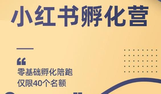 【副业项目2049期】小红书撸金快速起量项目：教你如何快速起号获得曝光，做到月躺赚在3000+-齐力副业