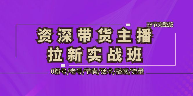 【副业项目5333期】资深·带货主播拉新实战班，0粉号/老号/节奏/话术/播感/流量-38节完整版-齐力副业