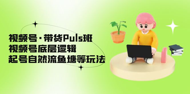 【副业项目5206期】视频号·带货Puls班，视频号底层逻辑，起号自然流鱼塘等玩法-齐力副业