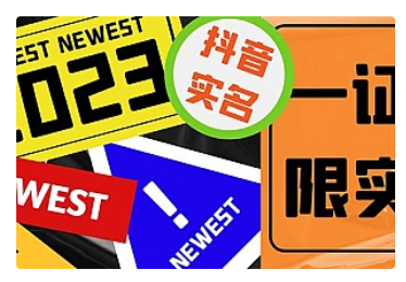 【副业项目5427期】外面收费1200最新抖音一证无限实名技术 无视限制封禁【详细玩法视频教程】-齐力副业