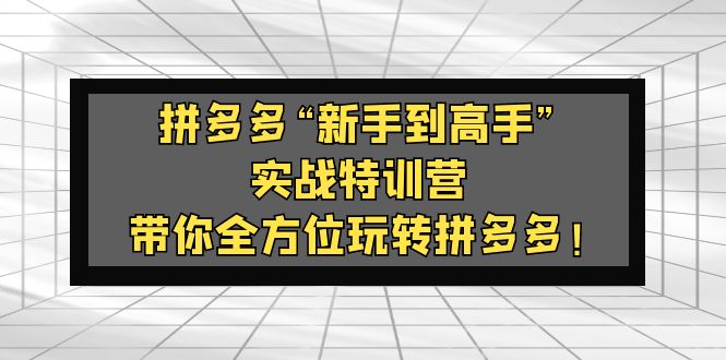 【副业项目5317期】拼多多“新手到高手”实战特训营：带你全方位玩转拼多多-齐力副业