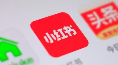 【副业项目2046期】2021 年小红书策划运营方案与报告 爆款打造秘籍-齐力副业