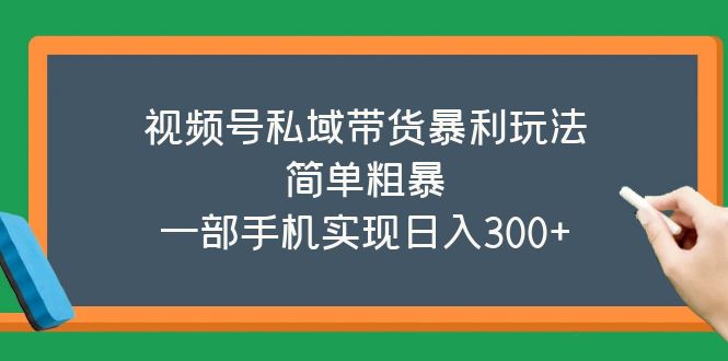 【副业项目5627期】视频号私域带货暴利玩法，简单粗暴，一部手机实现日入300+-齐力副业