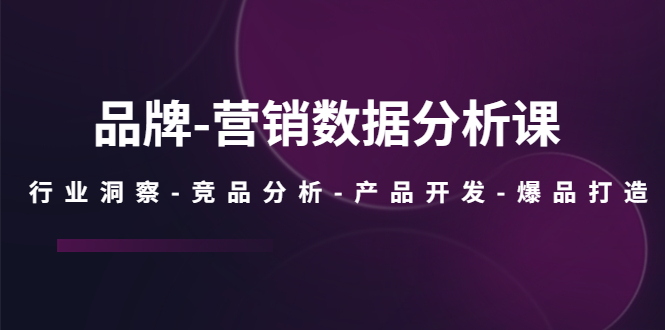 【副业项目5644期】品牌-营销数据分析课，行业洞察-竞品分析-产品开发-爆品打造-齐力副业