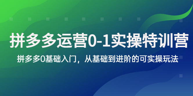 【副业项目5801期】拼多多-运营0-1实操训练营，拼多多0基础入门，从基础到进阶的可实操玩法-齐力副业