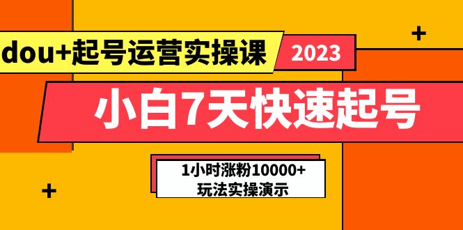 【副业项目5906期】小白7天快速起号：dou+起号运营实操课，实战1小时涨粉10000+玩法演示-齐力副业