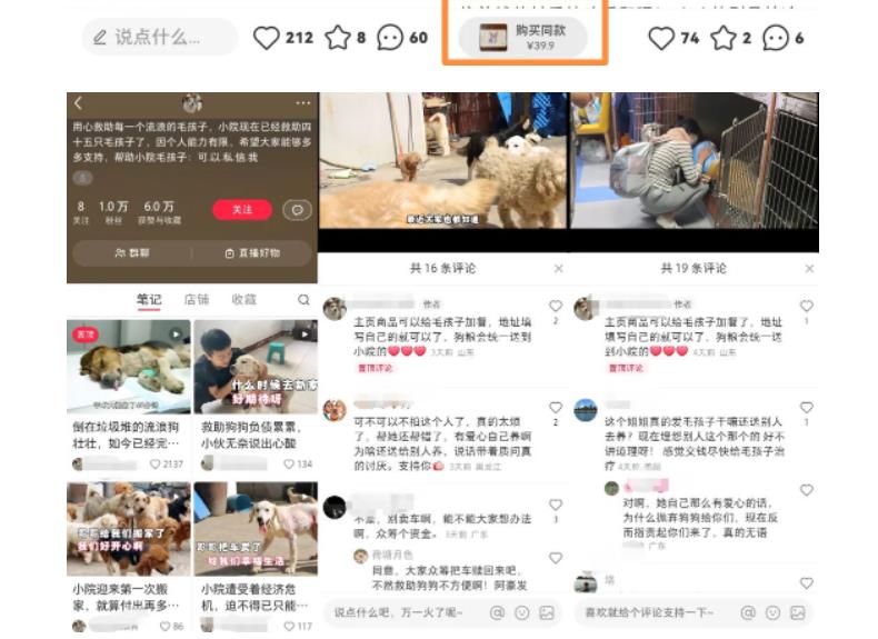 【副业项目5898期】小红书蓝海类赛道：小动物打赏与购买变现副业项目，一条龙玩法分享给你！-齐力副业